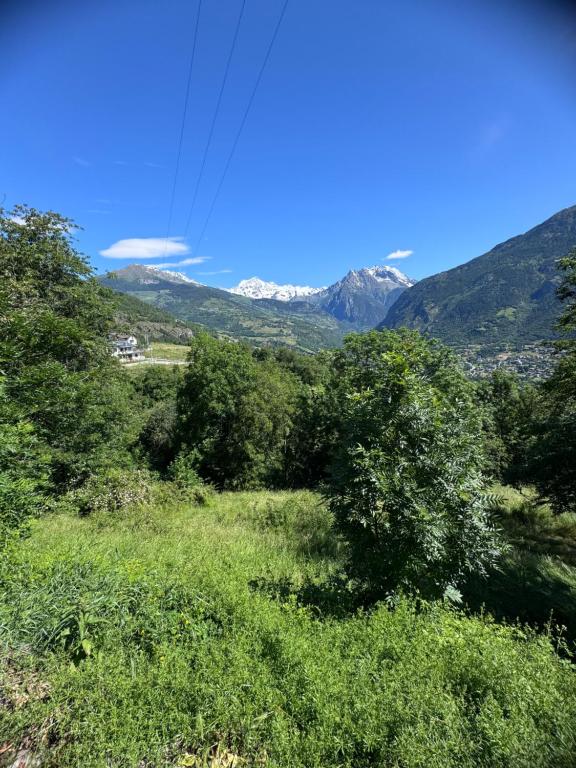 Príroda v okolí apartmánu