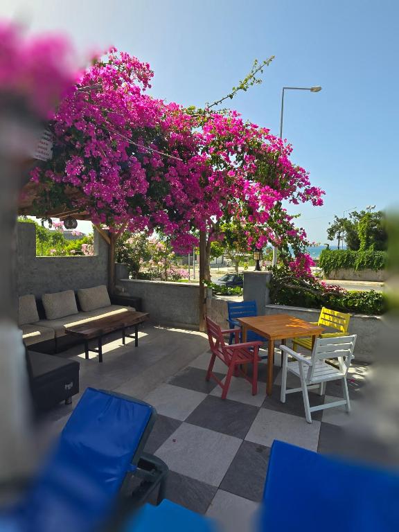Zahrada ubytování Diamant Otel