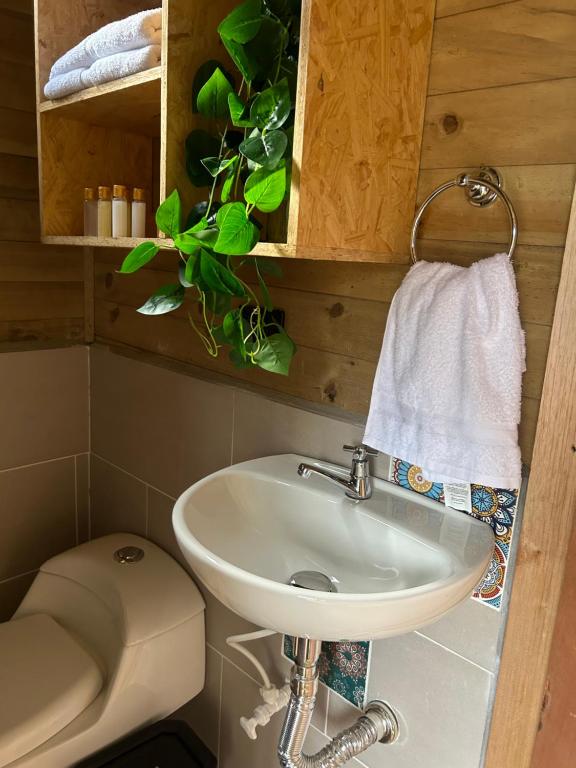 Un baño de Cabañas Colibrí
