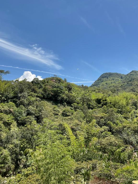 Un paisaje natural cerca del chalet de montaña