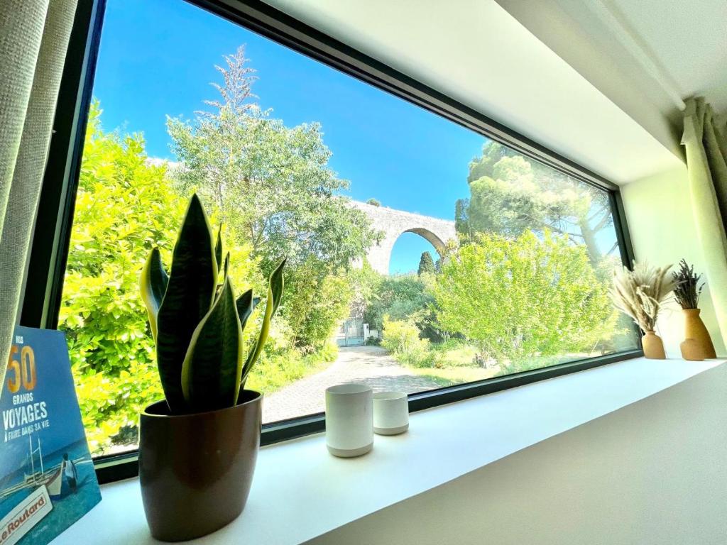 une fenêtre avec une plante en pot sur un rebord de fenêtre dans l'établissement Studio l'Aqueduc, à Castries
