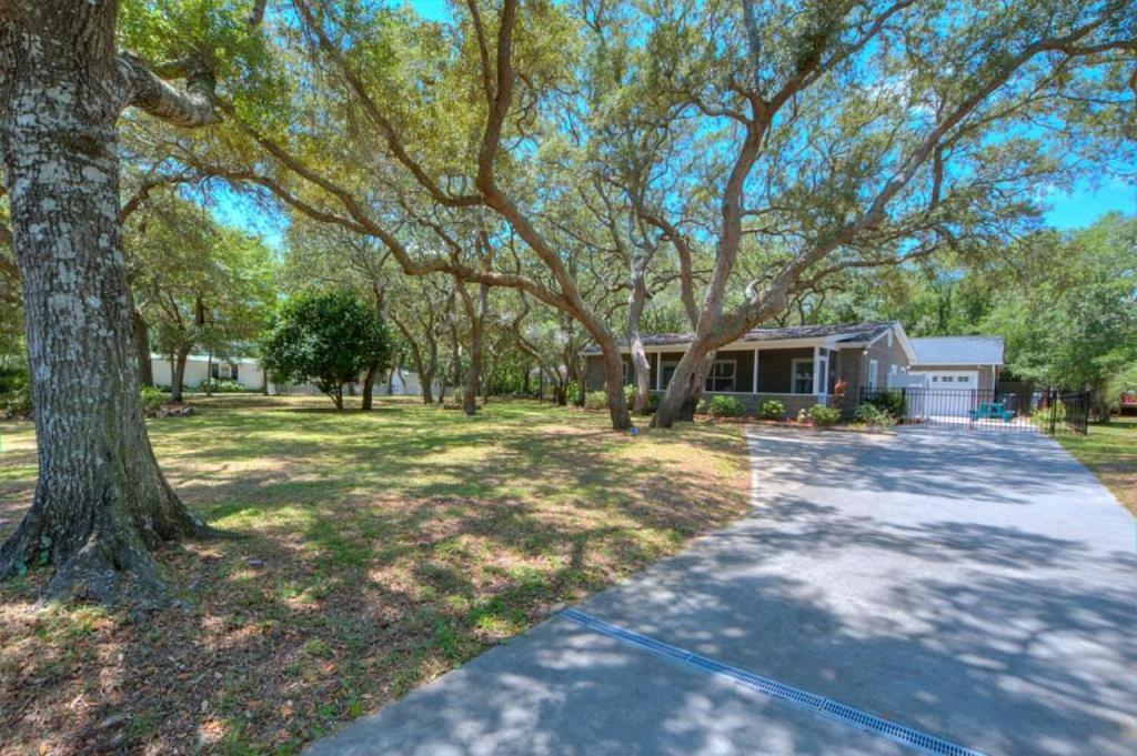 Vườn quanh Heavily Salted