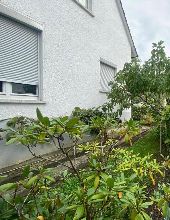 Aed väljaspool majutusasutust Schubert27