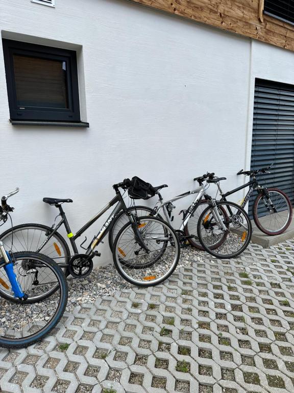 Jazda na bicykli v okolí ubytovania Appartements by Chalet Reiteralm -Sommercard
