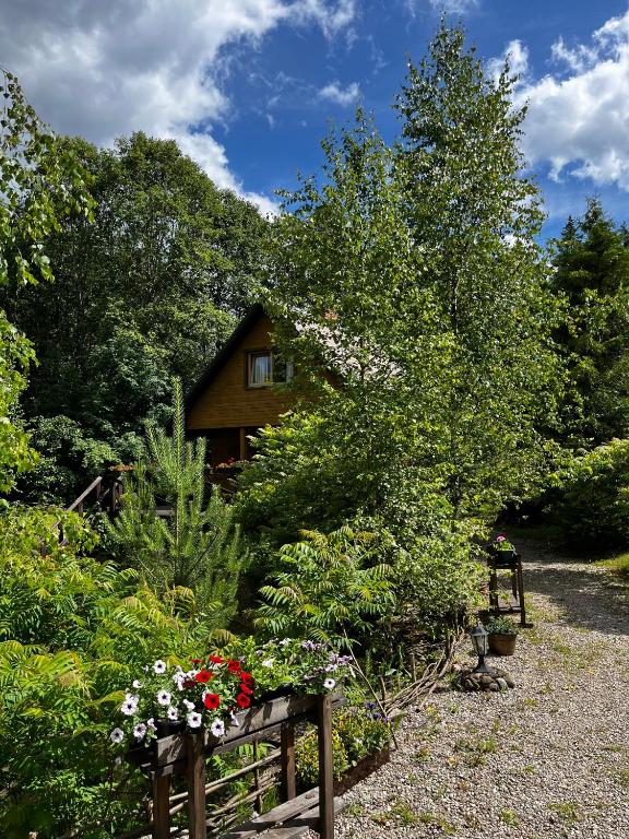 a garden with flowers and a house in the background at Pirts māja Lilijas in Baldone