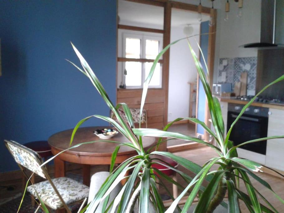 Logement indépendant – photo 11