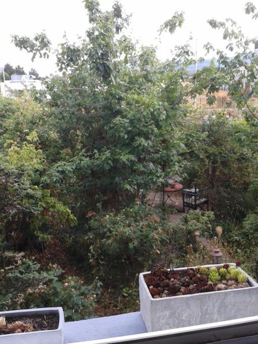 Logement indépendant – photo 8