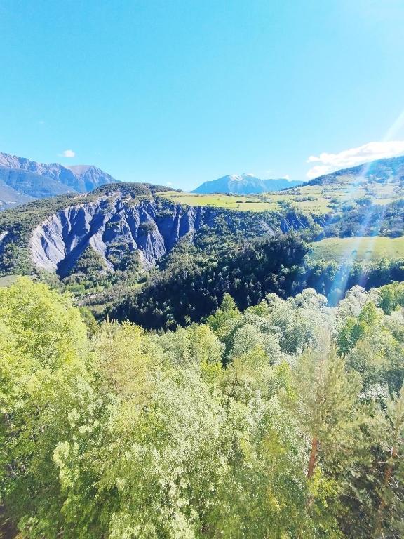 une vue sur une vallée avec des arbres et des montagnes dans l'établissement Appartement plein centre sauze, à Enchastrayes