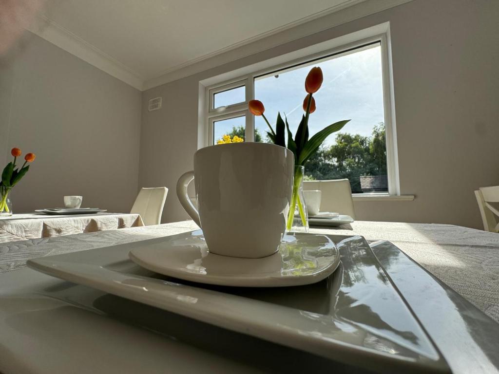 Fotografie z fotogalerie ubytování Maya's Lodge v destinaci Dublin