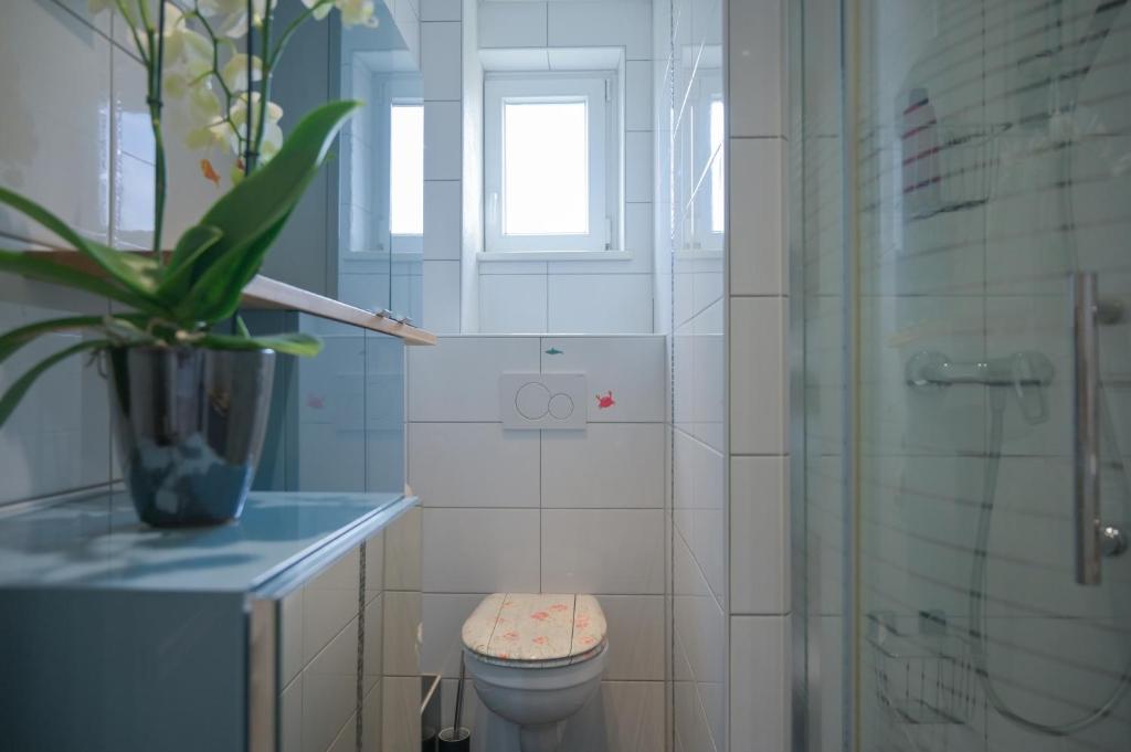 Grand duplex familial 113 m - Jardin - Colmar Gare - 4 Chambres – photo 52