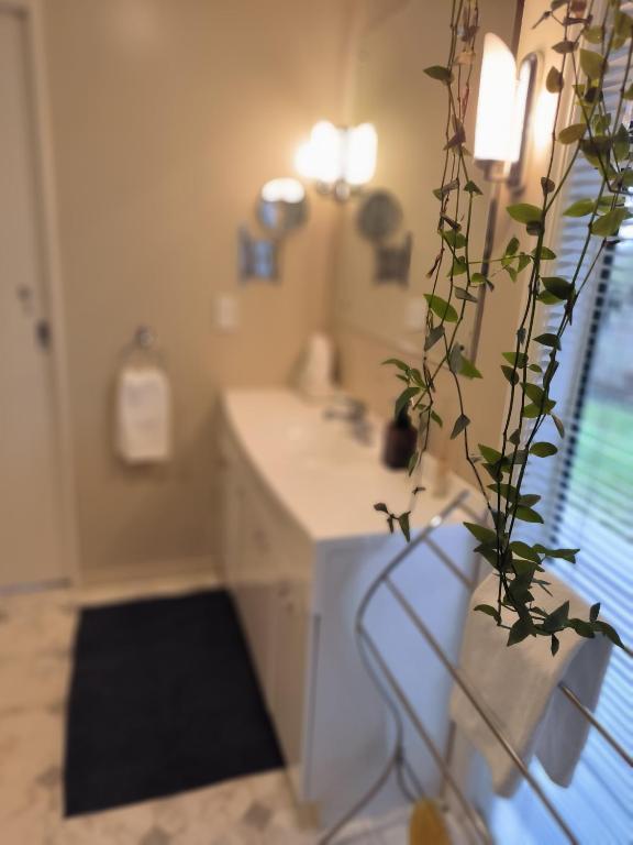 Vibrant Living Retreat - Resim 15