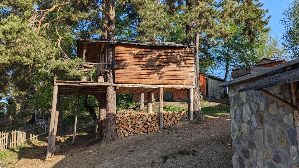 Zahrada ubytování Heshkili huts and cabins Svaneti