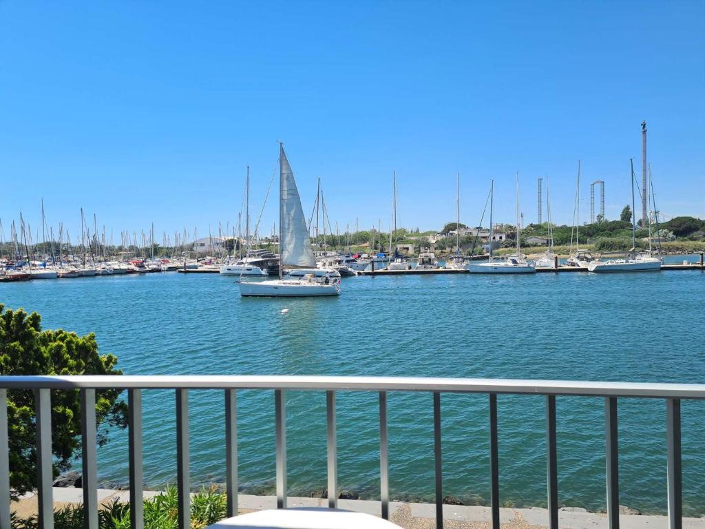 un voilier dans une marina avec des bateaux dans l'établissement T2 cabine au Cap d'Agde, 4 couchages, parking privé - FR-1-249-414, au Cap d'Agde