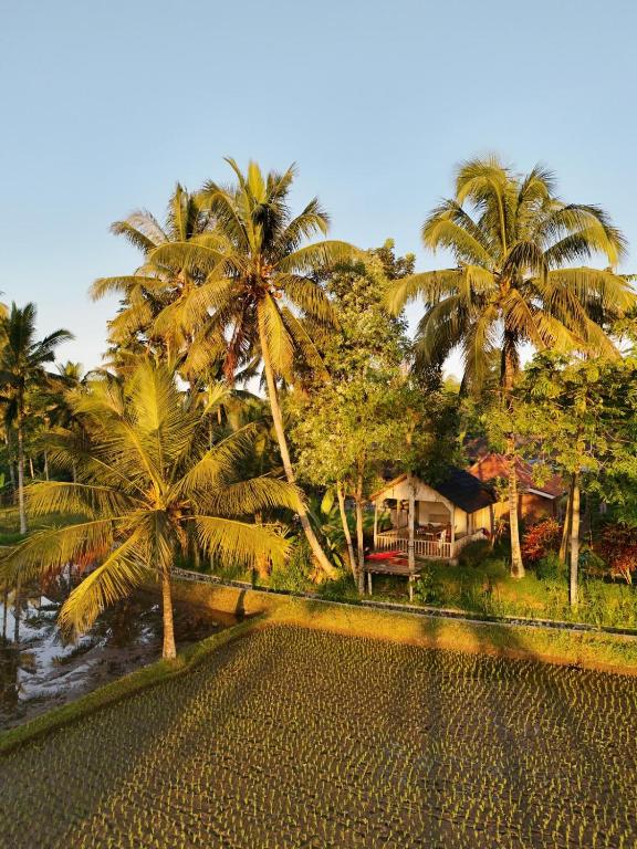 Tereng Wilis bungalows - 18