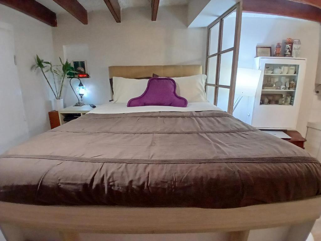 Centric, private, petfriendly apartments in Miraflores and home in Lince - Deluxe Studio
