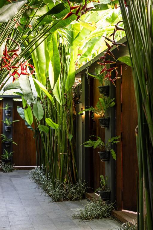 The Clifton Canggu - 1