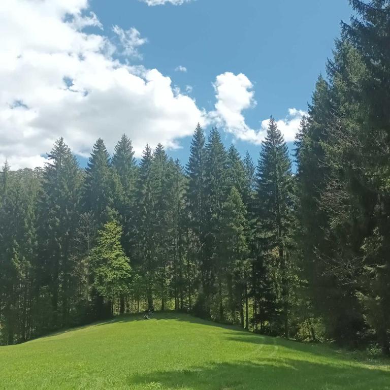 Příroda nedaleko kempu