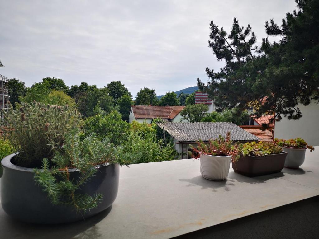 Spacy Apartment next to the center of Graz with terrasse - 12