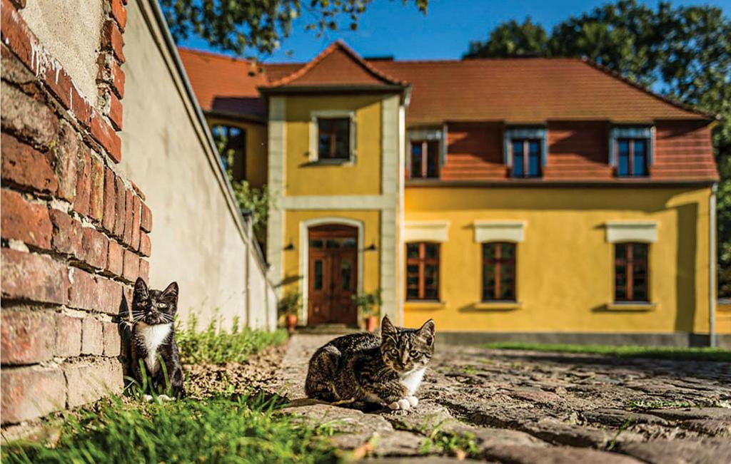 Budova, v ktorej sa dovolenkový dom nachádza