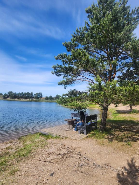 a picnic table under a tree next to a lake at Strazdų namelis in Palanga