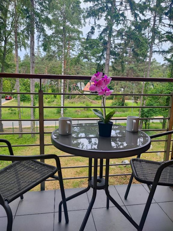 Balkón alebo terasa v ubytovaní Apartamenty Poddąbek- basen kryty, sauna, animacje dla dzieci , małpi gaj, baseny na dachu