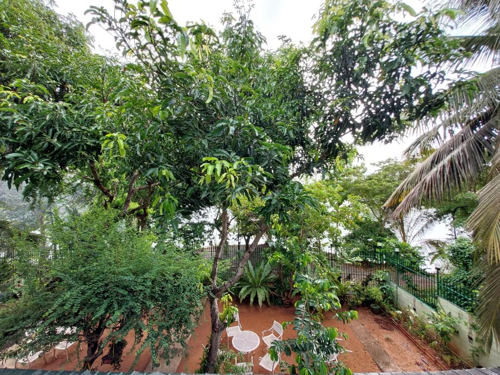 Lake Wave Hotel - 18