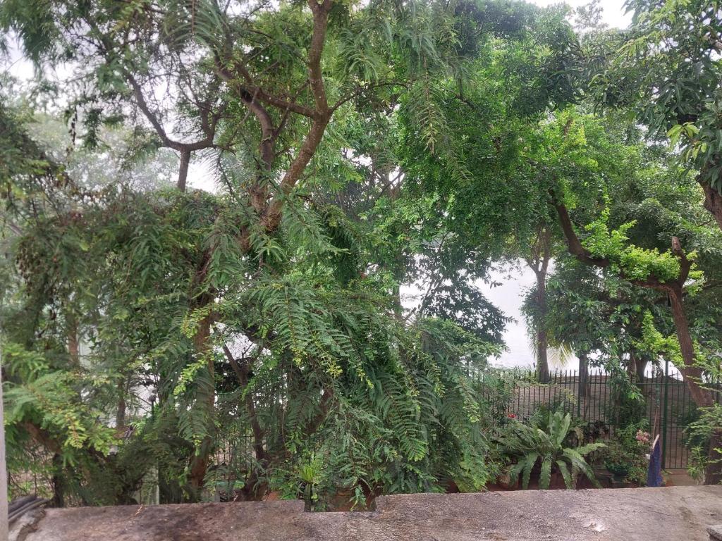 Lake Wave Hotel - 19