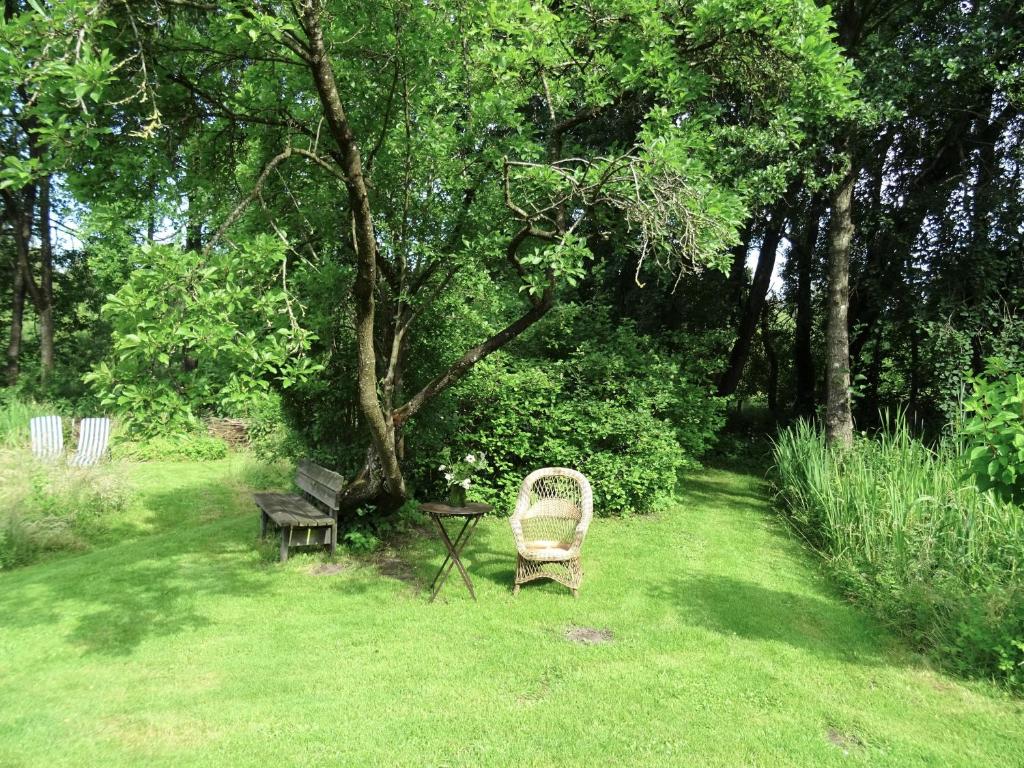 Zahrada ubytování Kleines Reethaus Johannsen - mit geschmackvoller Einrichtung und tollem Garten