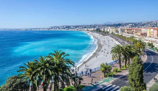 une vue sur une plage avec des palmiers et l'océan dans l'établissement Beau Studio Plein Centre, à Nice