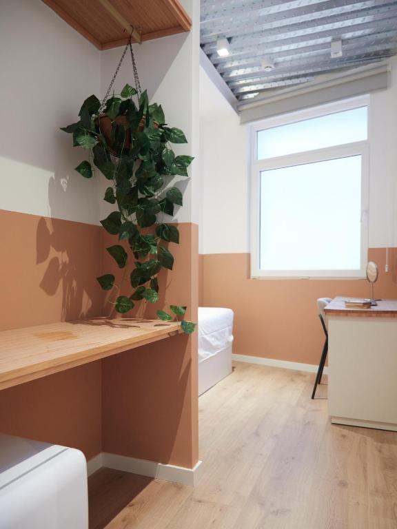 رزرو هتل، Ola Living Hostal Tetuan، آژانس مسافرتی آسمان سپید