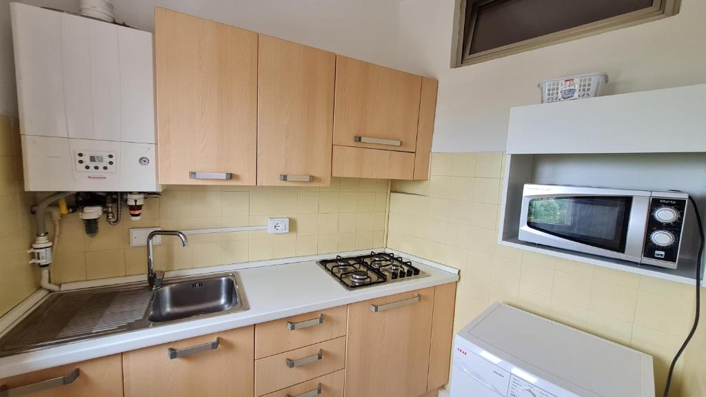 Kuchnia lub aneks kuchenny w obiekcie Panorama Apartment Peschiera
