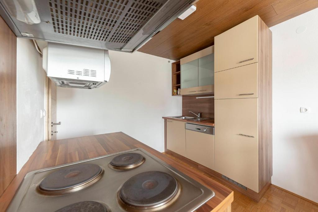 Kuchyň nebo kuchyňský kout v ubytování Apartmaji Seljak