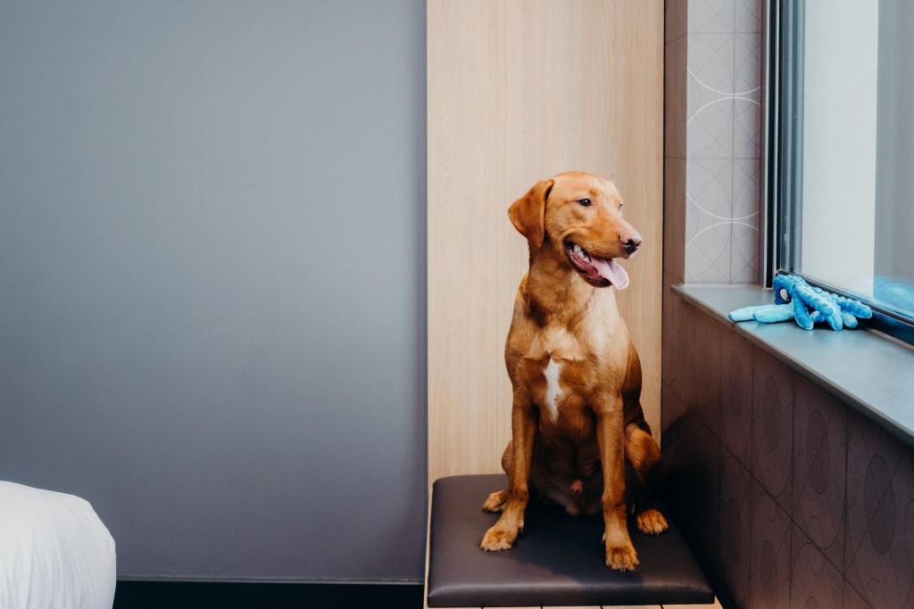 
Urban Family Double Room
