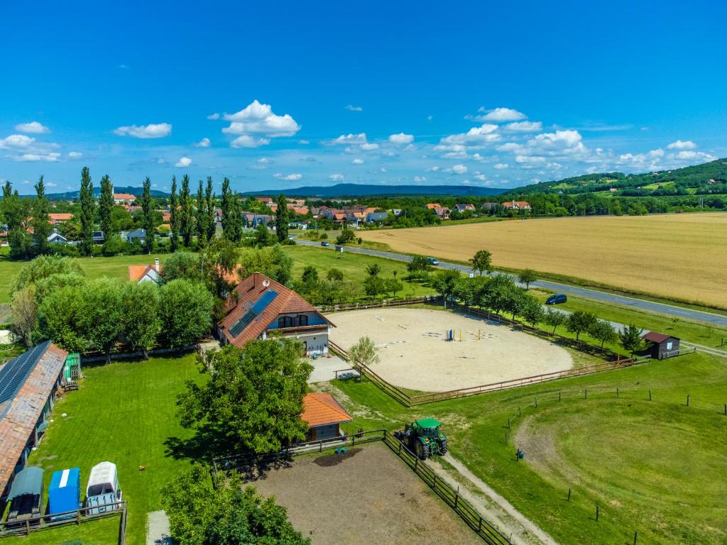 Przyroda w pobliżu tego pensjonatu