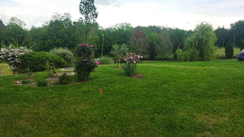 une cour avec trois plantes dans l'herbe dans l'établissement Chambre avec entrée indépendante dans un écrin de verdure, à Dommartin