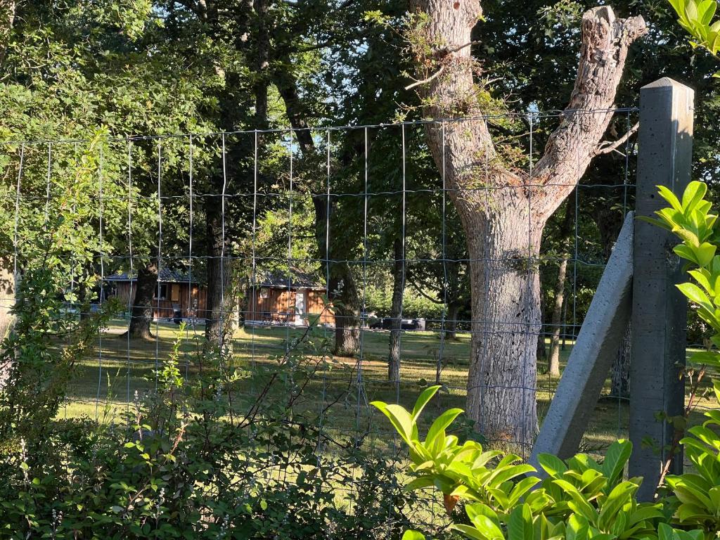 une clôture avec un arbre au milieu d'un parc dans l'établissement Location airial Landais, à Mimizan