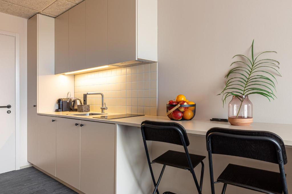 Kuchyň nebo kuchyňský kout v ubytování Hugo Apartment Hotel