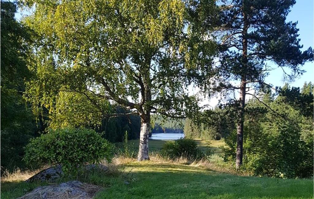 Zahrada ubytování Lake Front Home In Neslandsvatn