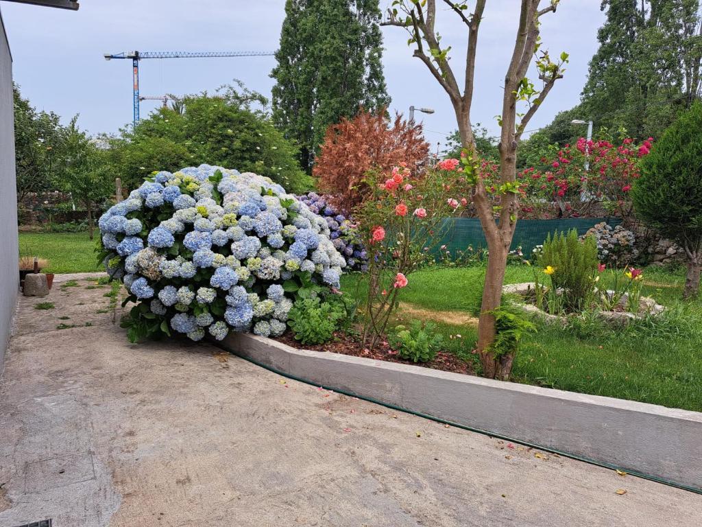 Zahrada ubytování Garden House Ramalde
