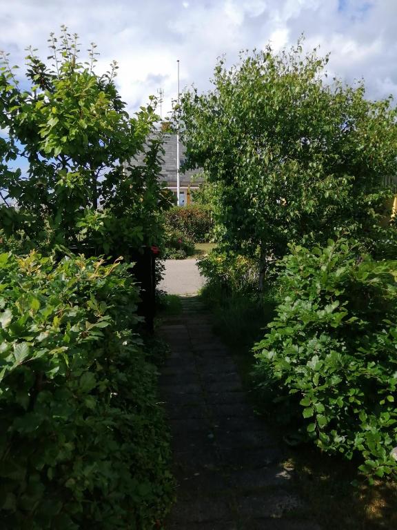 Zahrada ubytování Minihus til havn, strand, vand og by i Gilleleje