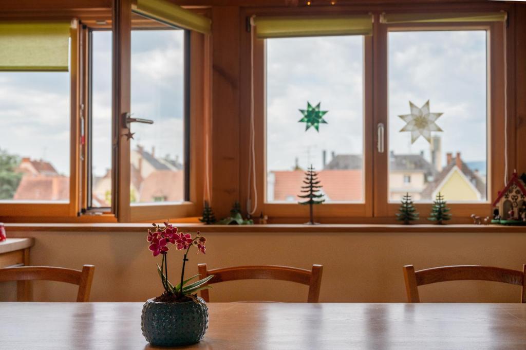 Grand duplex familial 113 m - Jardin - Colmar Gare - 4 Chambres – photo 20