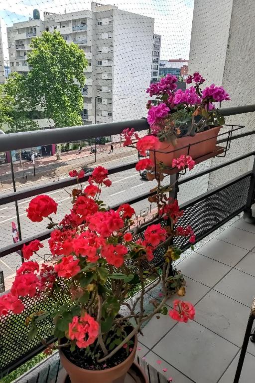 un groupe de fleurs en pots sur un balcon dans l'établissement Levallois-Perret -Porte de Paris, à Levallois-Perret