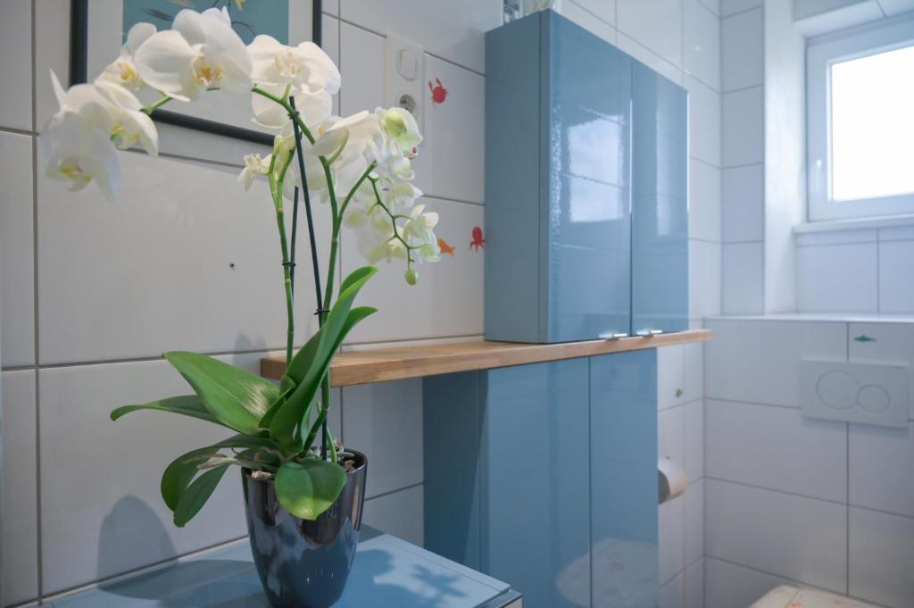 Grand duplex familial 113 m - Jardin - Colmar Gare - 4 Chambres – photo 8