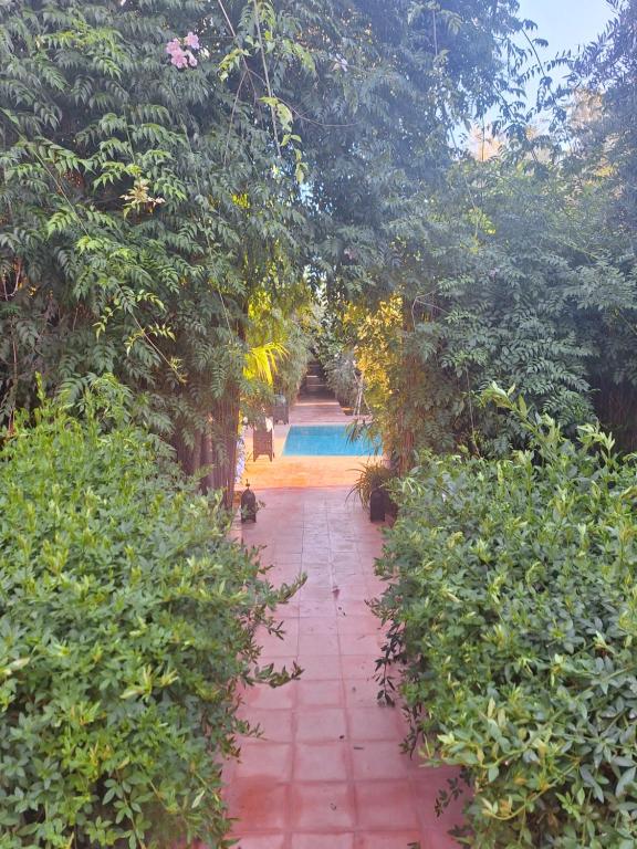 A piscina em ou perto de Beldicolors