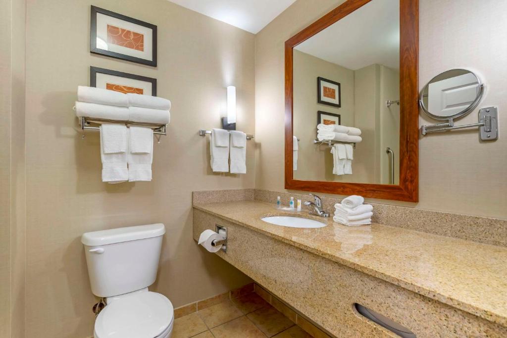 Comfort Suites Sarasota-Siesta Key photo
