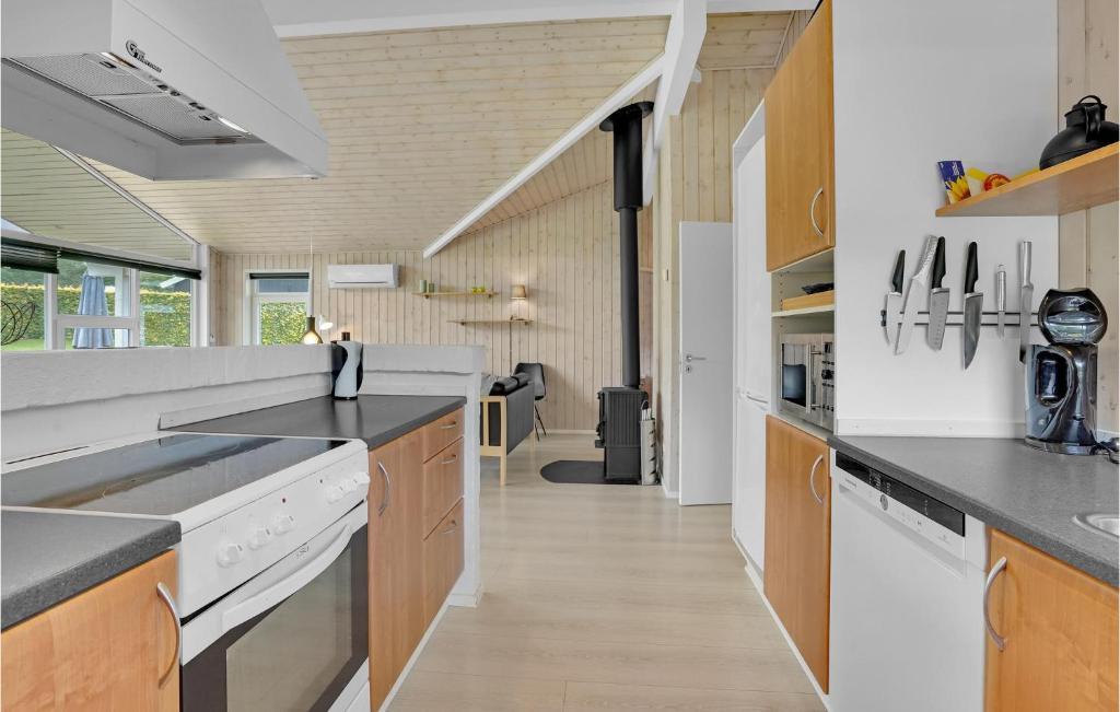 Kuchyň nebo kuchyňský kout v ubytování Four-Bedroom Holiday Home In Aabenraa