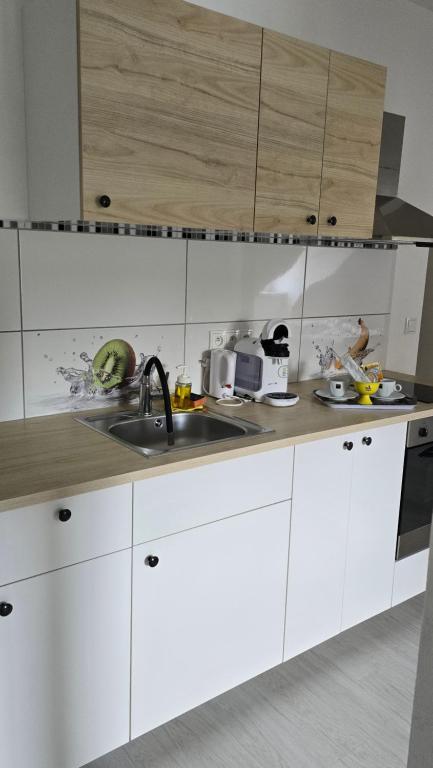 Kuchnia lub aneks kuchenny w obiekcie Studio - Café Princ pod Hradem, KLIMA, WiFi