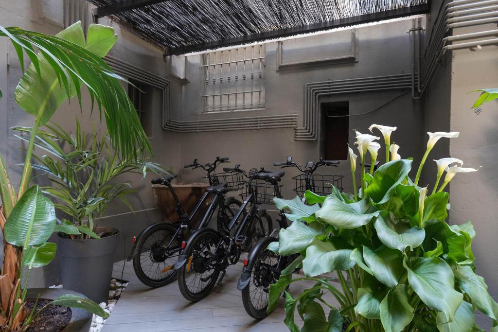 Jazda na bicykli v okolí ubytovania Chic & Basic Born Boutique Hotel