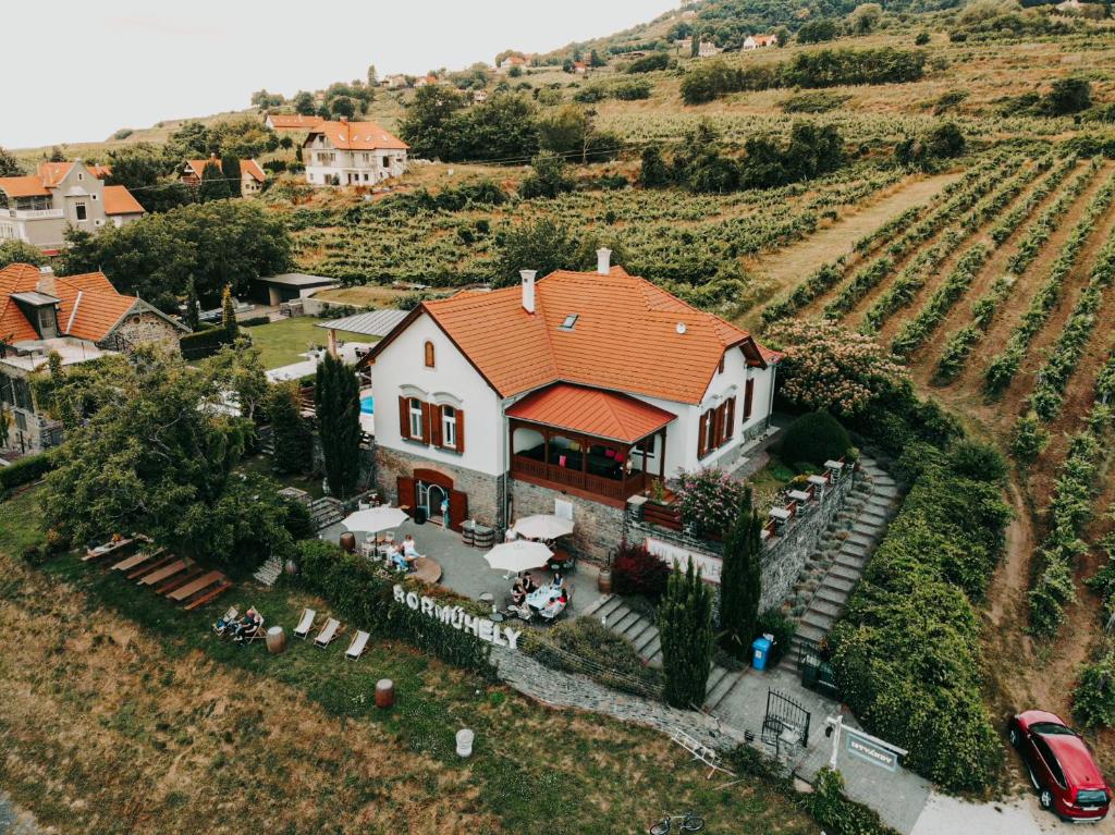 Príroda v okolí vily