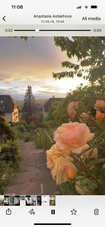 a picture of a picture of a pathway with a pink rose at EMI2 Modern Apartment Free Parking Near Swiss Border in Waldshut-Tiengen